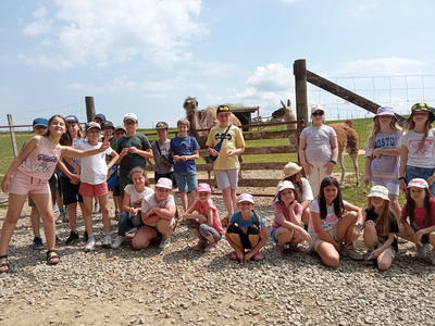 MicrosoftTeams-image (9)